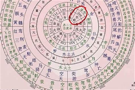 八字 命主 意思|北山教你如何详细看八字命盘